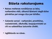 Prezentācija 'Andra Manfelde "Adata"', 6.