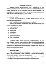 Referāts 'Mārketinga plāns jauna produkta ieviešanai tirgū', 6.