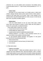 Referāts 'Mārketinga plāns jauna produkta ieviešanai tirgū', 12.