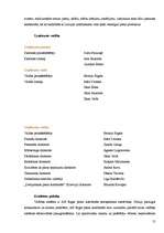 Referāts 'Mārketinga plāns jauna produkta ieviešanai tirgū', 13.