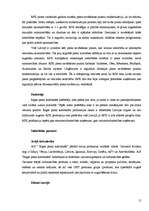 Referāts 'Mārketinga plāns jauna produkta ieviešanai tirgū', 15.