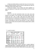 Referāts 'Mārketinga plāns jauna produkta ieviešanai tirgū', 16.