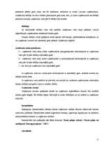 Referāts 'Mārketinga plāns jauna produkta ieviešanai tirgū', 17.