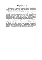 Referāts 'Kino māksla', 13.