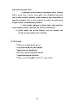 Referāts 'Ozolnieku novada teritorijas plānojums', 39.