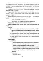 Diplomdarbs 'Skolēnu sadarbības prasmju veicināšana ekonomikas stundās 5. un 6.klasē', 6.