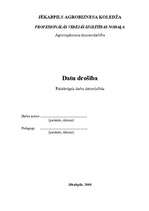 Referāts 'Datu drošība', 7.