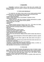 Referāts 'Datu drošība', 11.