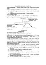 Konspekts 'Evolūcija', 1.