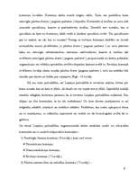 Referāts 'Pašvaldību būtība', 5.