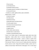 Referāts 'Pašvaldību būtība', 6.