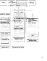 Referāts 'Pašvaldību būtība', 12.