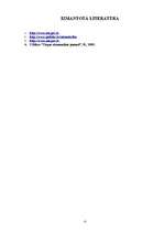 Referāts 'Privatizācijas procesa norise Latvijā', 13.