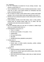 Referāts 'Mārketinga pasākumu kompleksa elementu salīdzināšana Ryanair, Wizz Air un easyJe', 12.