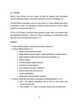 Referāts 'Mārketinga pasākumu kompleksa elementu salīdzināšana Ryanair, Wizz Air un easyJe', 16.