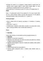 Referāts 'Mārketinga pasākumu kompleksa elementu salīdzināšana Ryanair, Wizz Air un easyJe', 19.