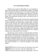 Konspekts 'Kas ir griba Šopenhauera filosofijā?', 1.