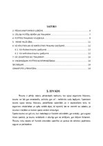 Referāts 'Potīšu traumas volejbolā', 2.