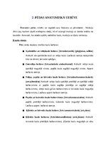 Referāts 'Potīšu traumas volejbolā', 4.