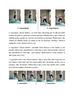 Referāts 'Potīšu traumas volejbolā', 17.