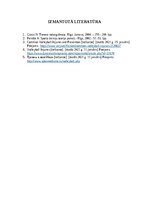 Referāts 'Potīšu traumas volejbolā', 19.