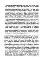 Konspekts 'Tiesību zinātņu kvalifikācijas eksāmena biļetes ar atbildēm', 13.