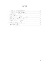 Konspekts 'A.Maslova kultūras teorija', 2.