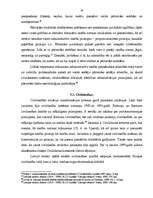 Referāts 'Latvijas tiesību sistēmas raksturojums', 16.