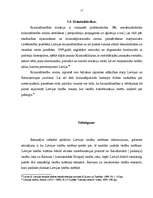 Referāts 'Latvijas tiesību sistēmas raksturojums', 17.