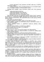 Referāts 'Uzņēmuma misija, stratēģija', 2.