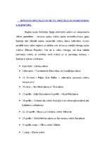 Prezentācija 'Ievērojamākās tradīcijas Spānijā', 4.