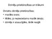 Referāts 'Iekšdedzes dzinēji', 13.