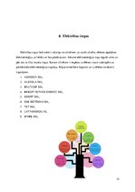 Referāts 'Elektrības patēriņš uz cilvēku un ekonomēšana', 14.