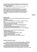 Referāts '"Politikas" un "varas" izcelsme – problēmas, teorijas, pamatelementi un galvenās', 12.