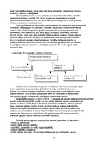 Referāts '"Politikas" un "varas" izcelsme – problēmas, teorijas, pamatelementi un galvenās', 13.