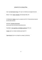 Referāts 'Velosipēda dizains un vēsture', 10.