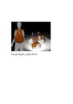 Referāts 'Velosipēda dizains un vēsture', 29.