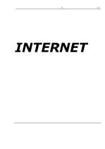 Referāts 'Internets', 1.