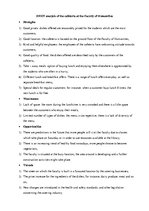 Paraugs 'SWOT Analysis', 1.