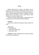 Referāts 'Reklāmas loma mūsdienās', 3.