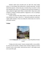 Referāts 'Latviešu zemnieku celtņu jumtu formas un materiāli no 18.gadsimta sākuma līdz 20', 4.