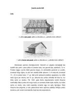 Referāts 'Latviešu zemnieku celtņu jumtu formas un materiāli no 18.gadsimta sākuma līdz 20', 6.
