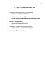 Referāts 'Tirgus pētījums "Ibumetin"', 11.