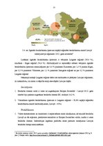Referāts 'Bezdarba līmenis Latgales reģionā, izmaiņu tendences, salīdzinājums ar nacionālo', 13.