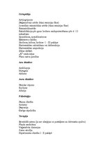 Referāts 'Atbalsts bērniem ar īpašām vajadzībām - nometņu organizēšana ar reitterapijas no', 8.