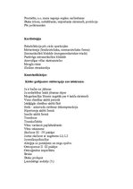 Referāts 'Atbalsts bērniem ar īpašām vajadzībām - nometņu organizēšana ar reitterapijas no', 9.