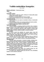 Prakses atskaite 'Prakses atskaite pedagoģijā', 18.