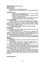 Prakses atskaite 'Prakses atskaite pedagoģijā', 22.