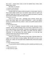 Referāts 'Brīvās ekonomiskās zonas Latvijā', 7.