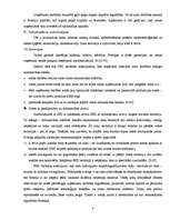 Referāts 'Brīvās ekonomiskās zonas Latvijā', 8.